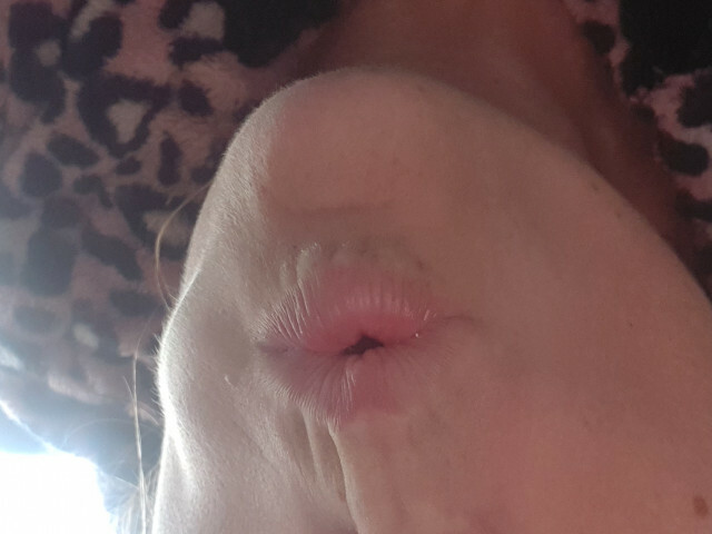 Miram online foto 2